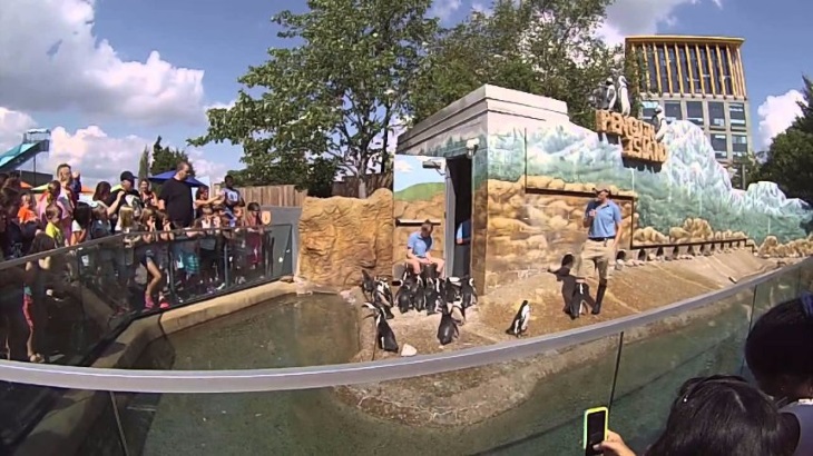 Зверьки вне клетки: лучшие открытые зоопарки мира