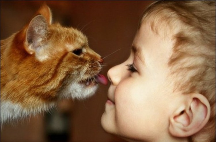 Почему все дети хотят кота: 30 фотообъяснений