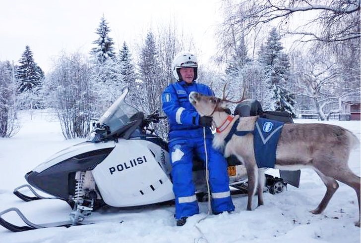 Финляндия: интересные мелочи из жизни финнов