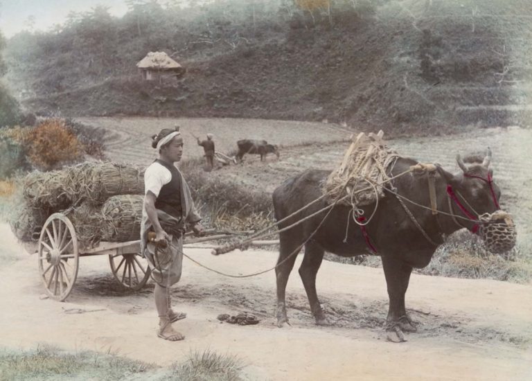 spectacular-life-of-japan-in-the-19th-century-page-18-of-30-urapress