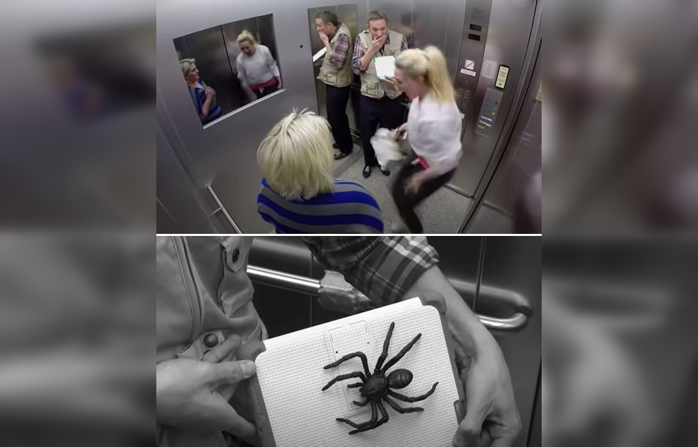 Elevator Oddities: Quirky and Amusing Moments in Photos